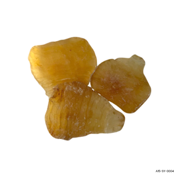 India Dried Shuang Ya Fish Maw
